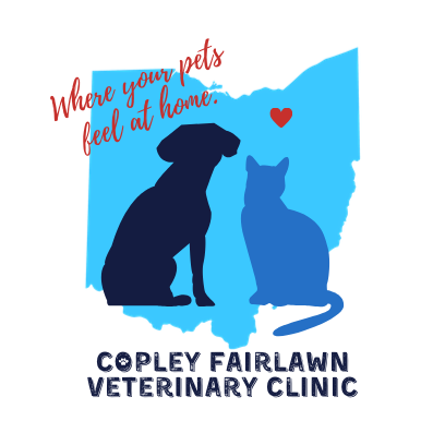 Copley Fairlawn Veterinary Clinic